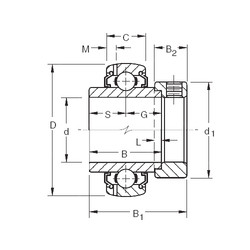 Bearing G1008KLLB Timken