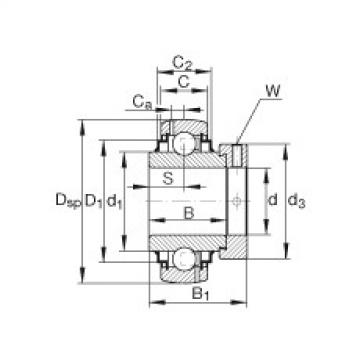 Bearing G1012-KRR-B-AS2/V INA