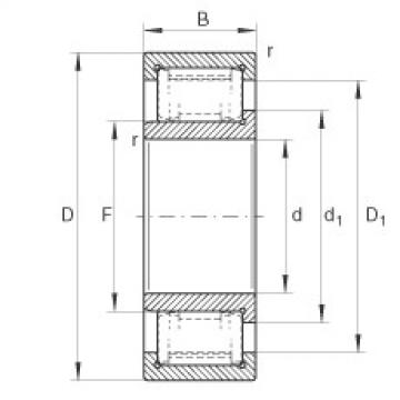 Bearing ZSL192307 INA