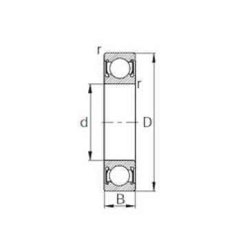 Bearing W6205-2RS CYSD