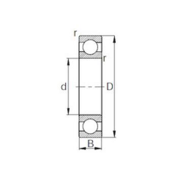 Bearing W6205 CYSD