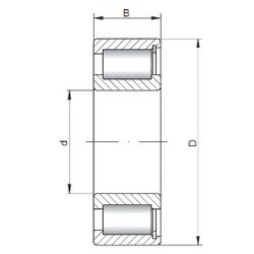 Bearing NCF2211 V ISO