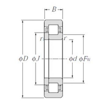 Bearing NUP240E NTN