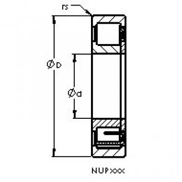 Bearing NUP248 M AST