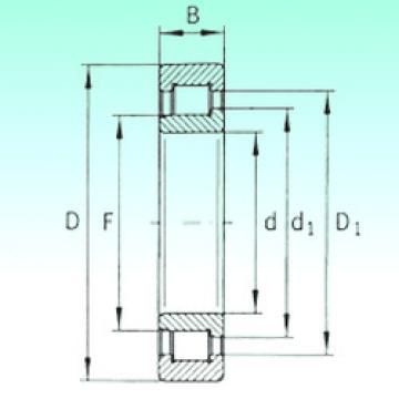 Bearing SL192315 NBS