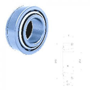 Bearing U298/U261L Fersa