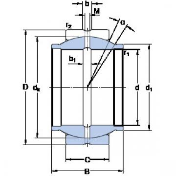 Bearing GEZM 106 ES SKF