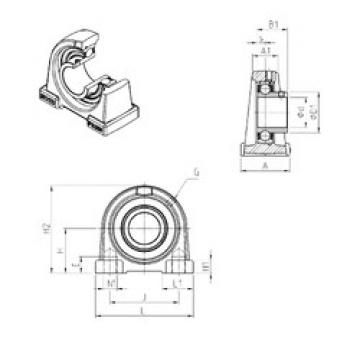 Bearing USPAE206 SNR