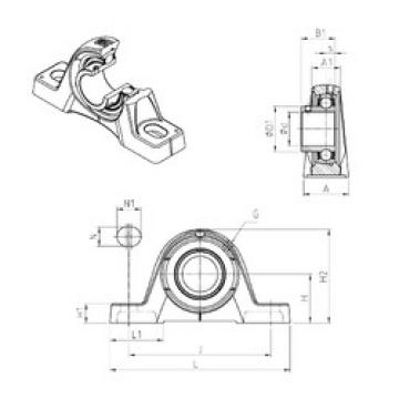 Bearing USPE210 SNR