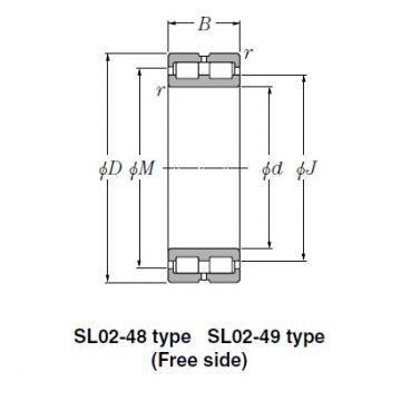 Bearing SL02-4868