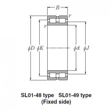 Bearing SL01-4968