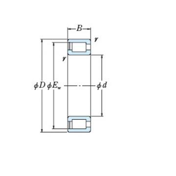 Bearing NNCF4924V