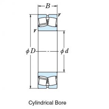 Bearing 22230CDE4