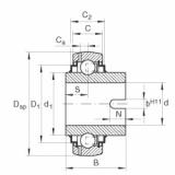 Bearing GLE25-KRR-B INA