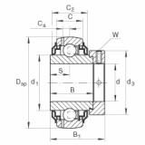 Bearing GE40-KRR-B-2C INA