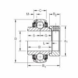 Bearing GN104KLLB Timken