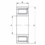 Bearing NCF1852 V ISO