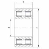 Bearing NN4992 CX