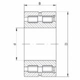 Bearing NNCF5005 V ISO