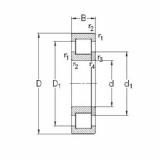 Bearing NUP2324-E-MPA NKE