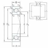 Bearing VEX 110 /NS 7CE3 SNFA