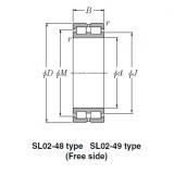 Bearing SL02-4920