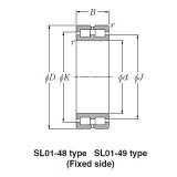 Bearing SL02-4932