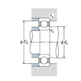 Bearing BA170-51 DB